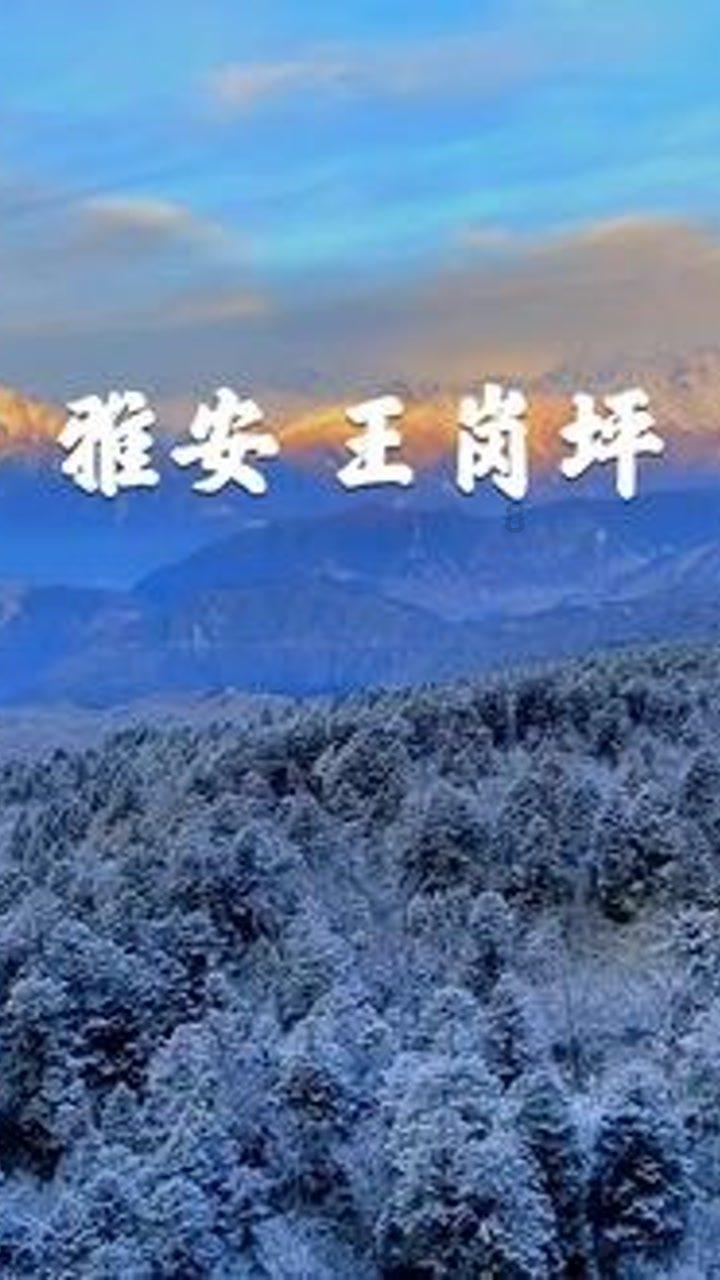 mds妍肤精华油