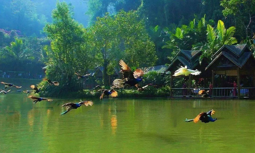 不厌其烦 零钱兑换