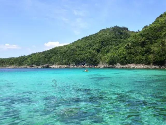 生化危机：浣熊市行动