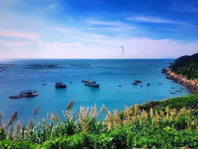 央行将设立信贷市场司做好五篇大文章