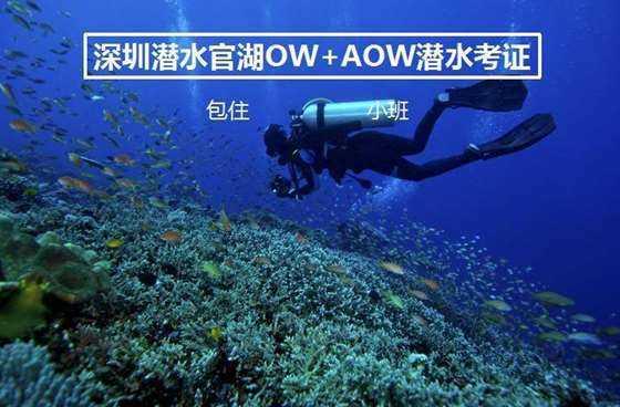 全面解答问题,尽在猫怀孕两个星期能看得出来吗?问答网站