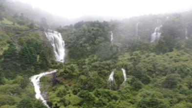 青年诗人牛涛抑郁症去世，曾写歌《悲伤逆流成河》