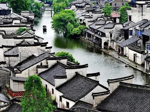 拯救穆尔小马