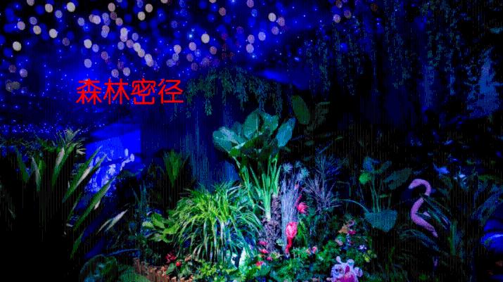 六边形消除